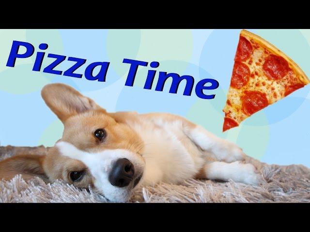 Pizza Time! - Topi the Corgi