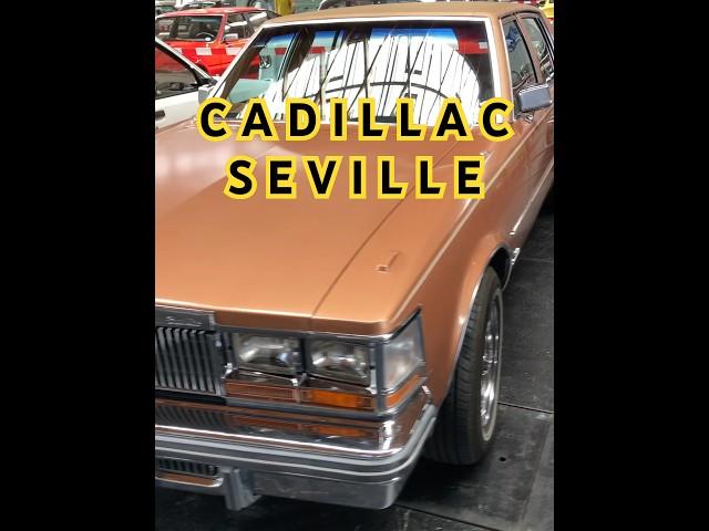 Cadillac Seville First generation. Klassikwelt Bodensee, Friedrichshafen, Deutschland  Germany