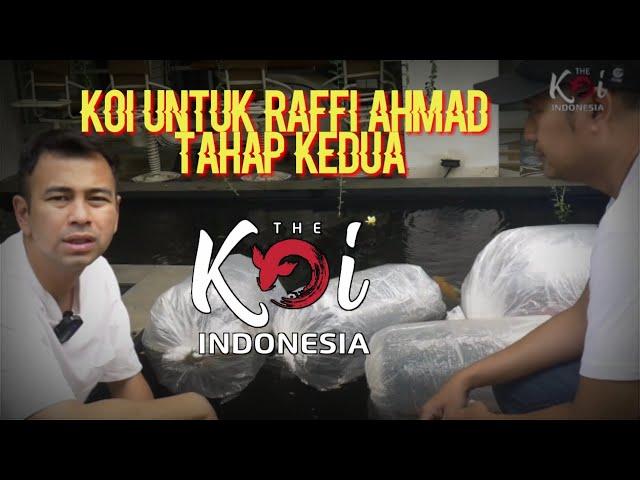 Koi Untuk Raffi Ahmad Tahap Kedua