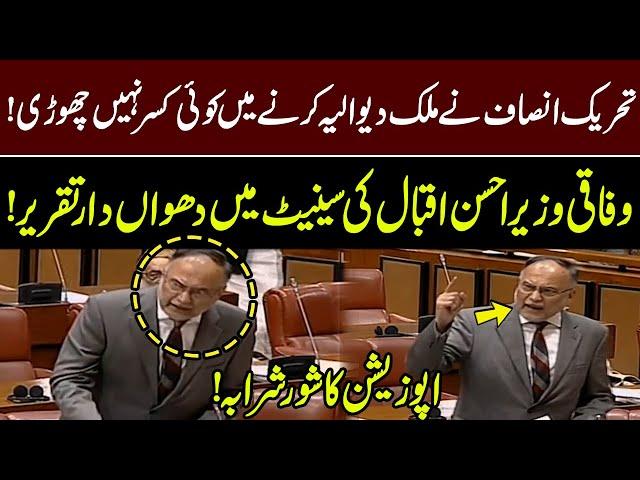 Federal Minister Ahsan Iqbal Aggressive Speech in Senate Today | GNN