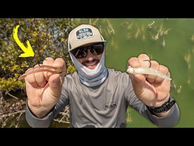 3 Days Fishing NEW NLBN SHRIMP! Everything You NEED to Know!