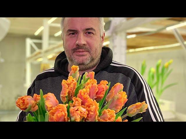 Огород как доход. 1 000 000 на тюльпанах!