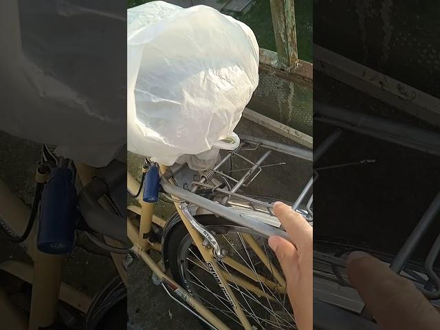 гнездо на балконе
