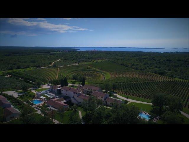 Discover Meneghetti Wine Hotel & Winery - part I