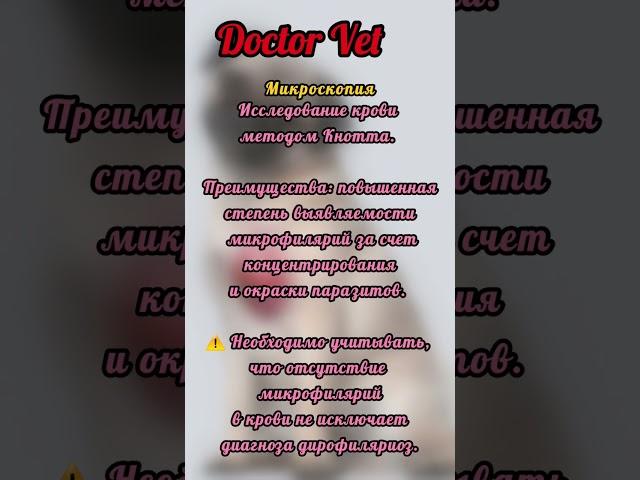 Дирофиляриоз. Диагностика #микроскопия #животные #ветеринария #паразит #сердечнаянедостаточность