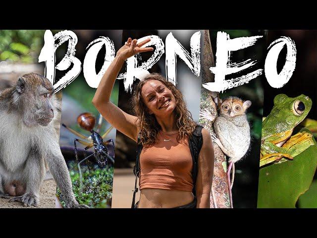 BORNEO Trailer - Durchquerung eines der atemberaubendsten Dschungel der Welt!