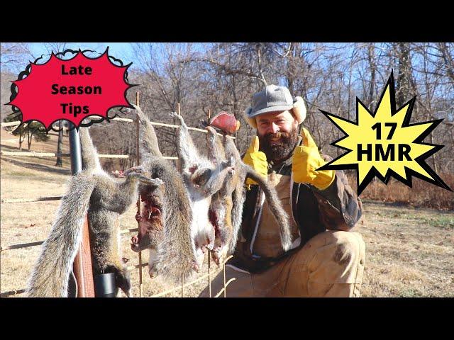 Cold Weather Squirrel Hunting | Late Season | 17 HMR