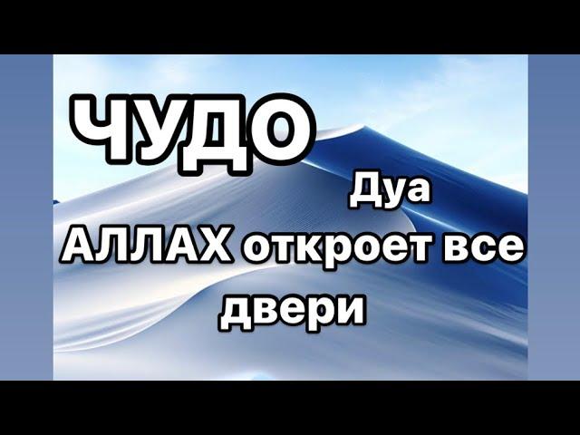 ЧУДО ЗИКР |АЛЛАХ ОТКРОЕТ ВАМ ВСЕ ДВЕРИ | ИН ША АЛЛАХ!