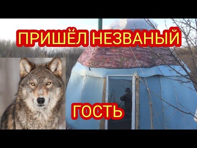 РЫБАЛКА И САМАЯ СТРАШНАЯ НОЧЬ В ХИЖИНЕ.