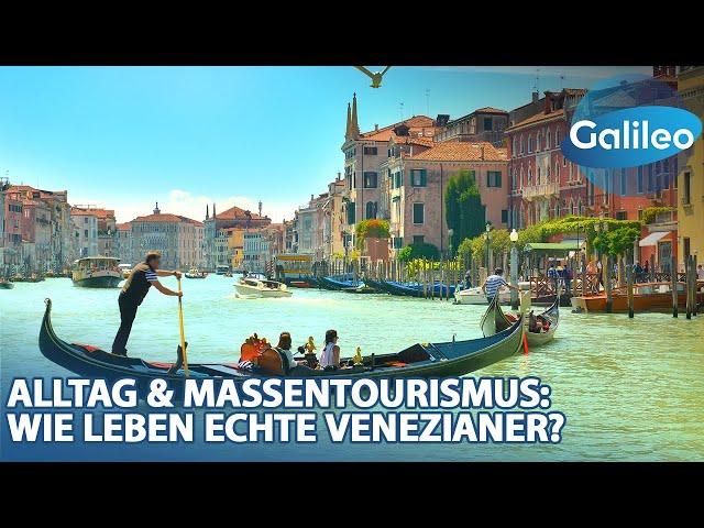 Geheimtipps und das Leben inmitten des Massentourismus: Wie leben echte Venezianer?