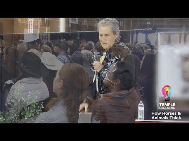 Temple Grandin - How Horses Think - 2019