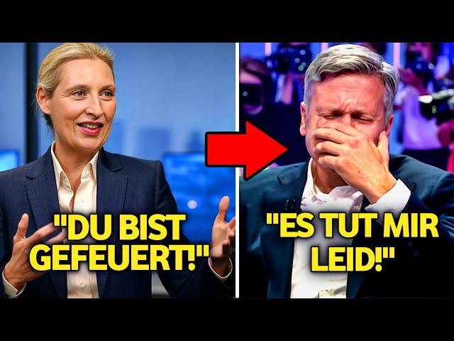 Liberaler TV-Moderator entlassen nach schockierenden Aussagen über Alice Weidel!