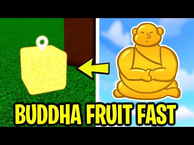 SECRET HACK TO GET BUDDHA FRUIT FAST IN BLOX FRUITS (Roblox)