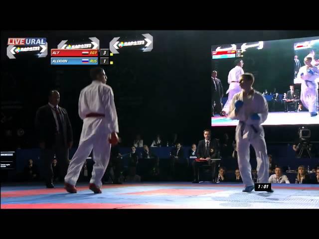 Alekhin Evgenii (RUS) - Aly Mohamed (EGY) FINAL GOLD MEDAL FIGHT Karate1 Premier League, Tyumen 2013