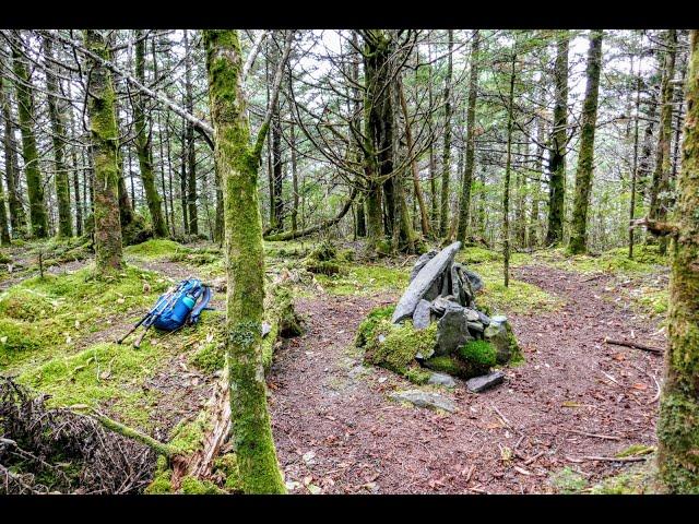 Mount Guyot - Great Smoky Mountains National Park, TN