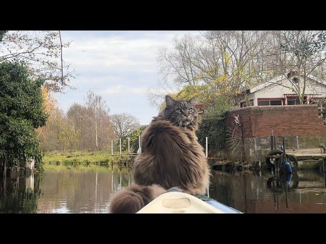 Grateful Paws and Kayak Adventures: Thanksgiving with Louis