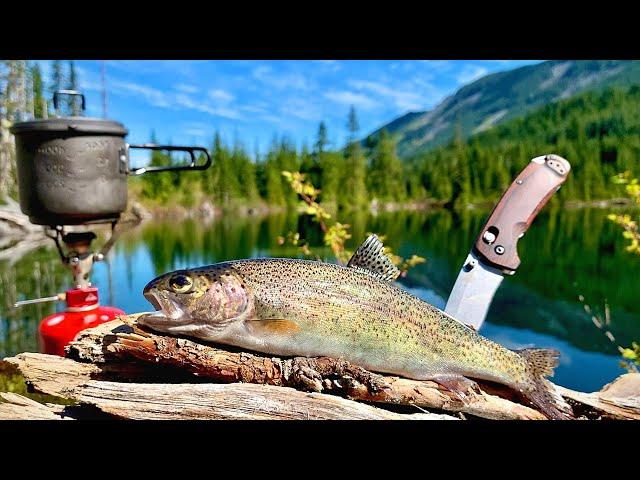 48H SOLO Backpacking & MOUNTAIN TROUT Fishing! (Catch, Cook, Camp)