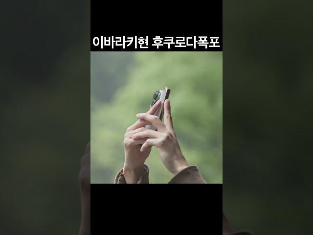한국인이 잘 모르는 #일본여행 #힐링 #후쿠로다폭포 #shorts