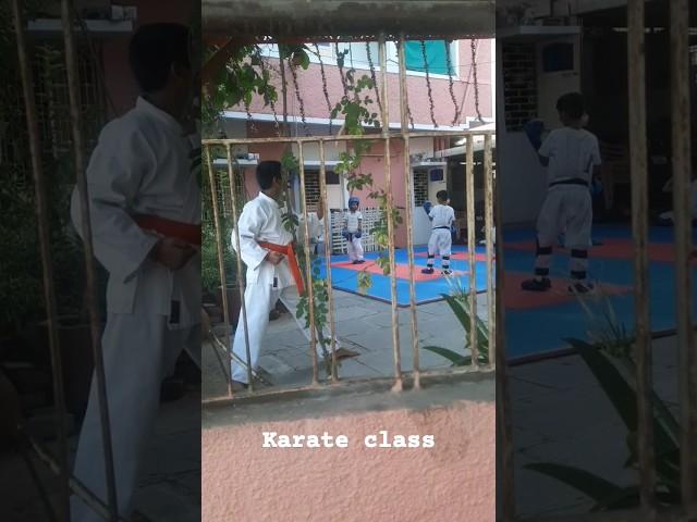 Day 41, I watched the karate class from outside the wall." #vlog #karate #dailyvlog