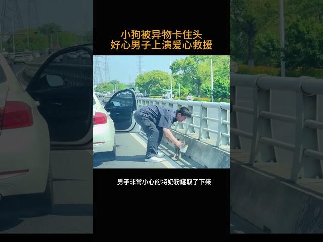小狗被异物卡住头       好心男子上演爱心救援