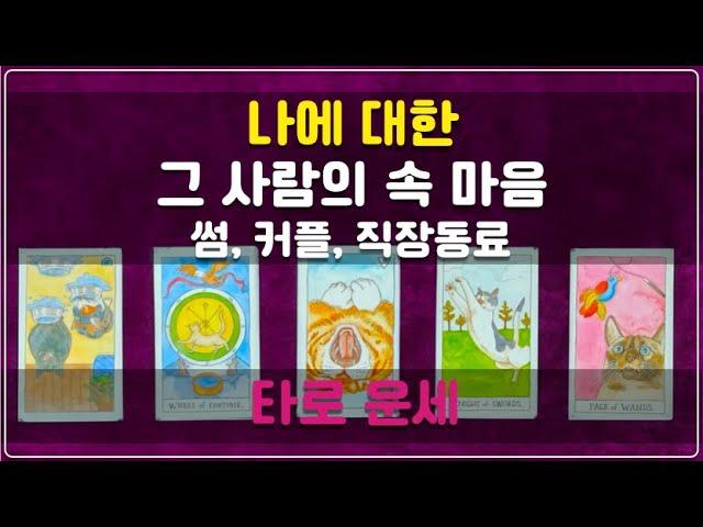 타로 운세 - 나에 대한 그 사람의 속 마음 #속마음 #타로