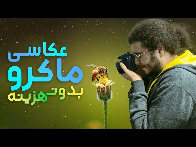 عکاسی ماکرو با کمترین هزینه ! | چند تا ترفند ارزان برای عکاسی ماکرو 