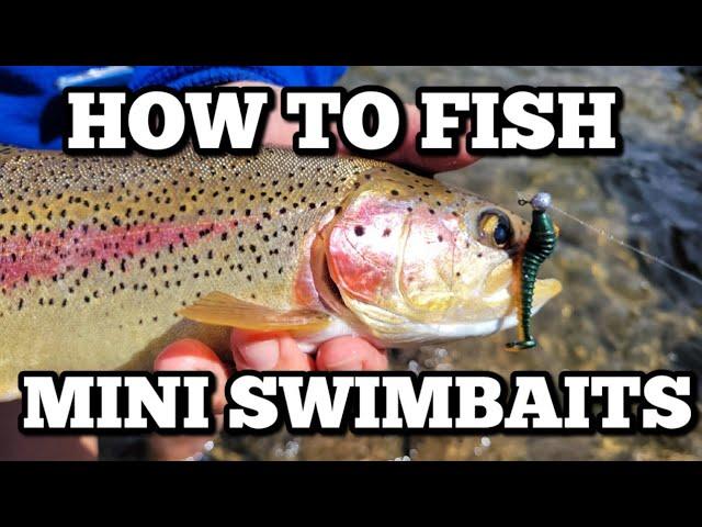 HOW to FISH Sierra Slammer Mini Swimbaits | TROUT Fishing Tips | 4K