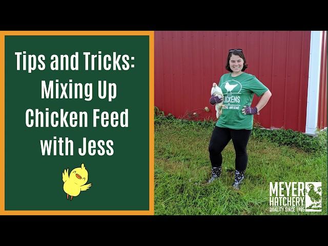 Recipe For Mixing Up Your Own Chicken Feed!