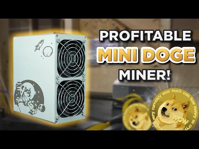 PROFITABLE Mini Doge Miner!