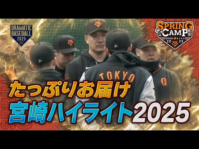 【春季キャンプ】宮崎ハイライト2025【たっぷりお届け】【巨人】