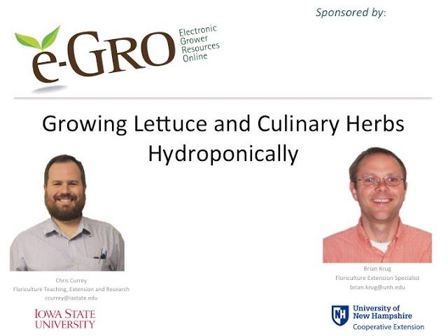 e-GRO Webinar - Growing Lettuce and Culinary Herbs Hydroponically