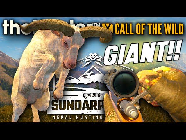 I Found a POTENTIAL SUPER RARE Albino Blue Sheep in Sundarpatan?! | Call of the Wild