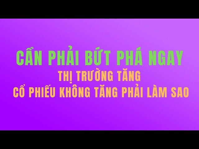 Xu hướng thị trường phiên hôm nay, cơ hội đầu tư, xây dựng cổ phiếu và danh mục mạnh hiệu quả