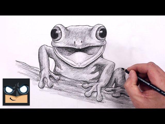 How To Draw Tree Frog | YouTube Studio Sketch Tutorial