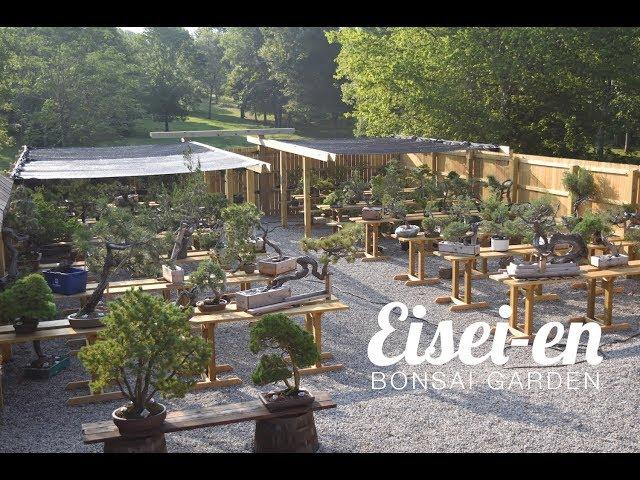 Eisei-en Bonsai Garden Walk-through