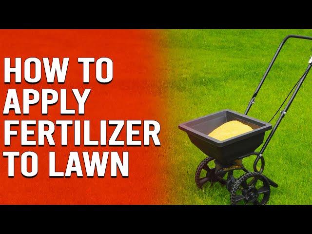 How to Apply Fertilizer to Lawn - When To Apply Lawn Fertilizer