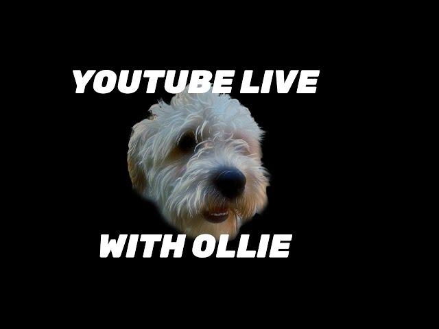 Youtube Live - Ideas for More Youtube Live