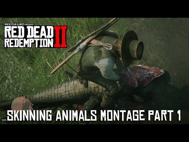 Red Dead Redemption 2 - Skinning Compilation Part 1 (Alligator, Bear, Snake & More)