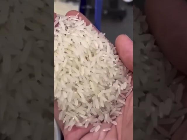 Rice milling machine #shortviral #diy #ricemillingmachine #machine #ricemilling