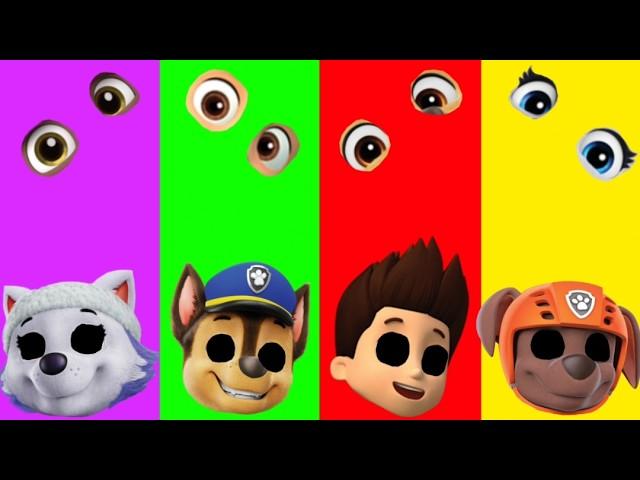 Wrong eyes challenge DAME TU COSITA Paw Patrol Funny Puzzle Wrong Heads