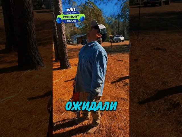 Самый Неожиданный Момент На Природе  #история #животные #новости #природа #shorts