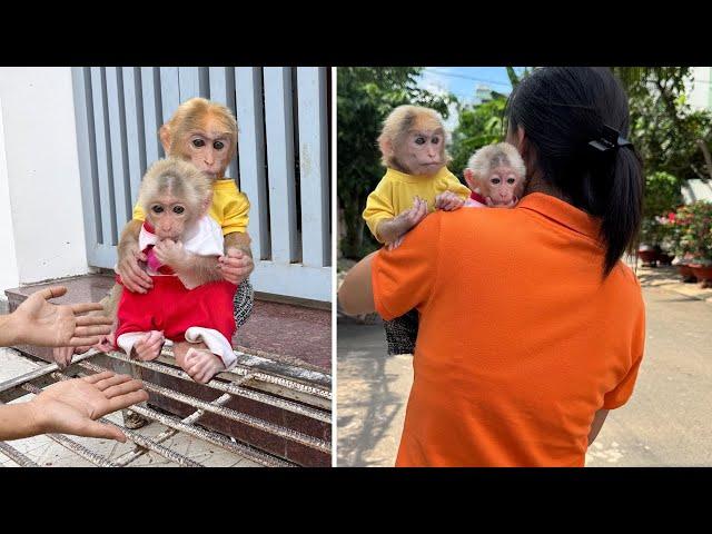 Who will take care of Lucky and Sunny now that Mom is in the hospital