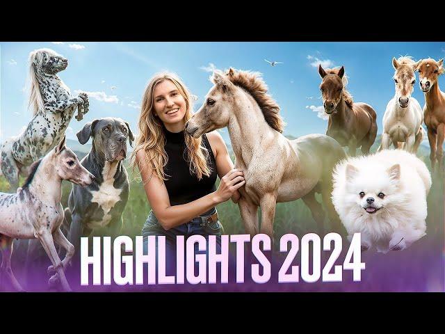 ️ BEST of 2024 ️ Alle HIGHLIGHTS!!