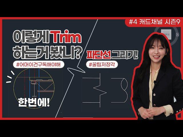 오토캐드 [CAD 채널] 시즌 9 (4) 트림, 파단선 한번에 끝내기 feat.상세도 꿀팁