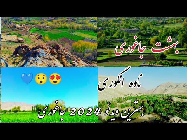 جاغوری زیبا ناوه/ انگوری زیبا / Beautiful Jaghori Nave Anguri video.