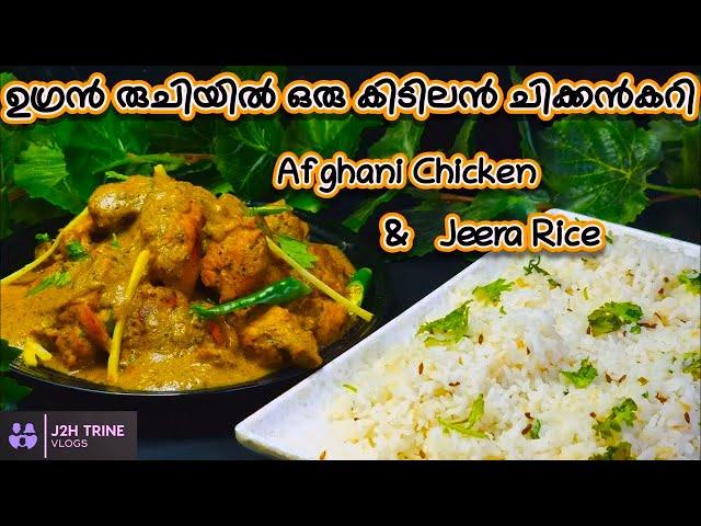 Afghani Chicken Gravy | Chicken Afghani Recipe | അഫ്ഗാനി ചിക്കൻ | Jeera Rice | J2H Trine Vlogs