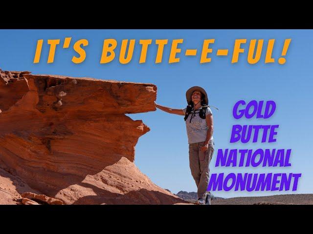 Nevada Backroads & Petroglyphs | Scenic Drive Thru Gold Butte National Monument | SUBOVERLAND 4x4