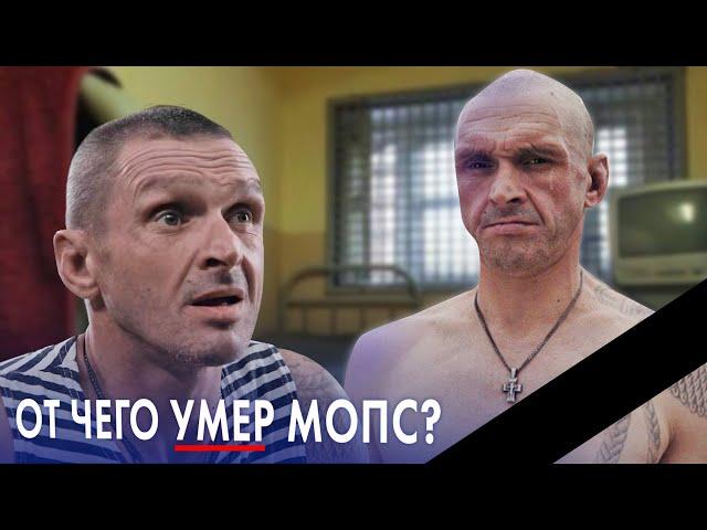 Умер МОПС ДЯДЯ ПЕС | Что случилось?