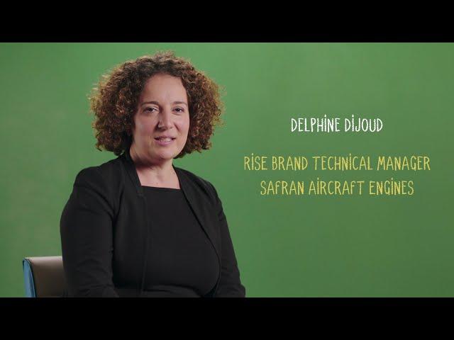 What is the RISE program, for sustainable engines?