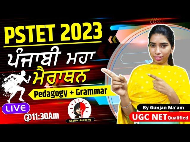 PSTET 2023 | PUNJABI MARATHON CLASS | Pedagogy & Grammar | Skylite Academy